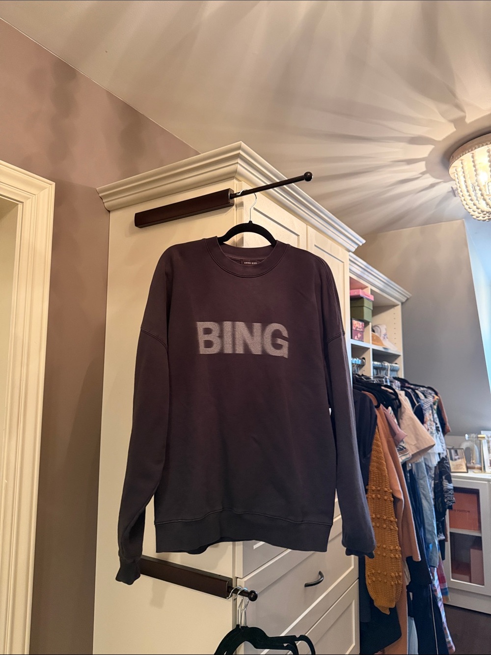 Anine Bing